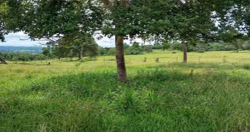 Fazenda à venda, 24200000 m² por r$ 50.000.000 - zona rural - pontal do araguaia/mt