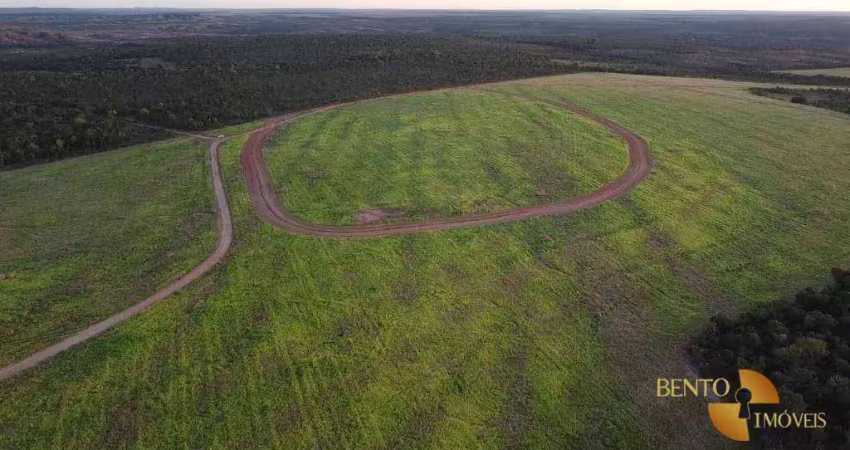 Fazenda à venda, 19260000 m² por r$ 34.000.000 - centro - lagoa da  confusão/to