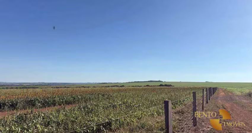 Fazenda à venda, 5200000 m² por r$ 25.000.000 - zona rural - rondonópolis/mt