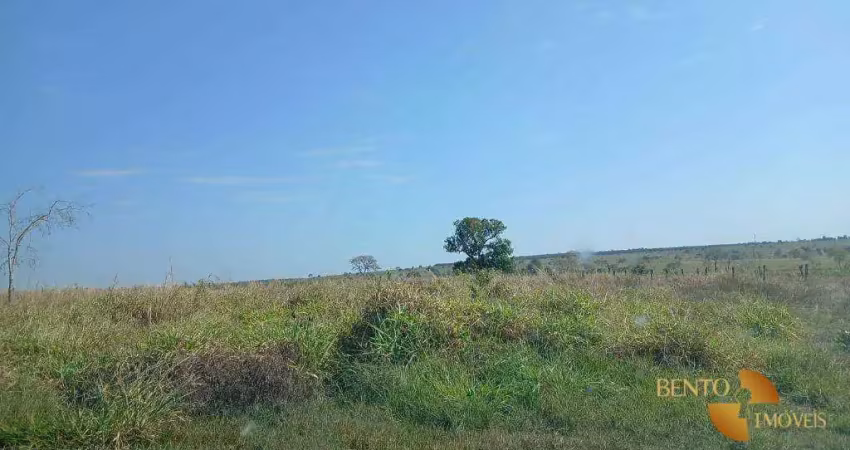 Fazenda com 2 dormitórios à venda, 3380000 m² por r$ 7.000.000 - micro dist anezio pereira de o - rondonópolis/mt