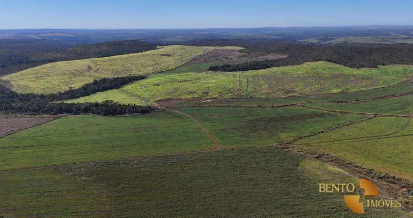 Fazenda com 3 dormitórios para alugar, 13490000 m² por r$ 1.725/mês - zona rural - primavera do leste/mt