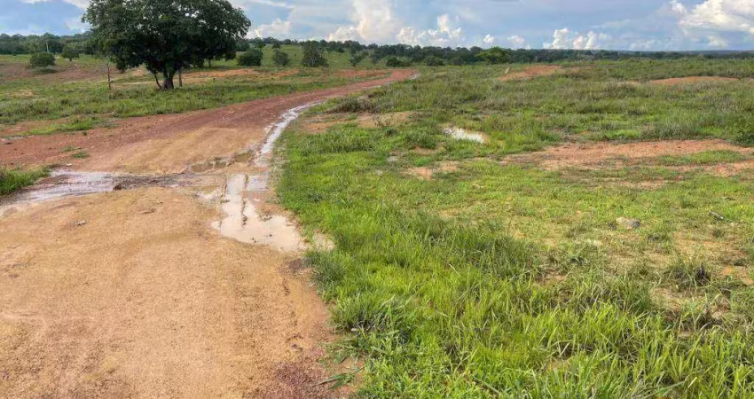 Fazenda à venda na Zona Rural, Tesouro 
