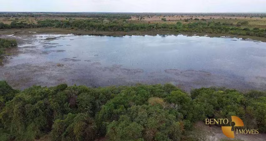 Fazenda para arrendamento, 50000000 m² por r$ 1.150/mês - zona rural - cocalinho/mt