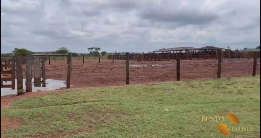 Fazenda à venda, 98736000 m² por r$ 245.000.000,00 - zona rural - marabá/pa