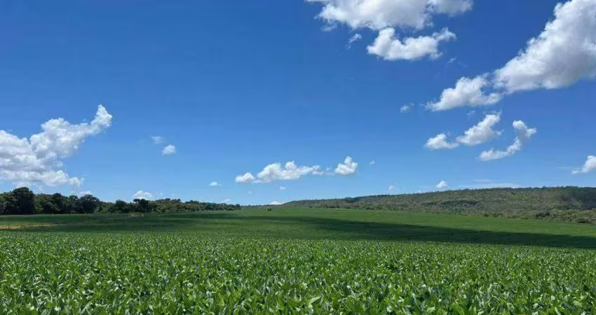 Fazenda à venda, 17340000 m² por r$ 42.000.000 - zona rural - tesouro/mt