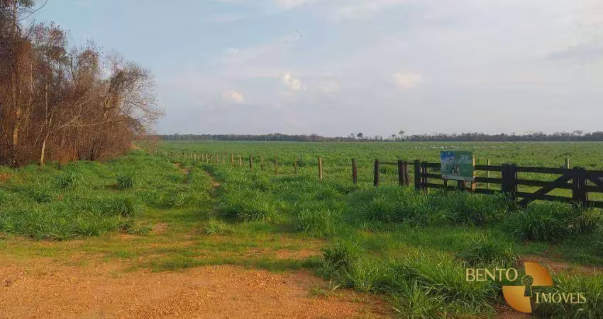 Fazenda à venda, 8460000 m² por r$ 23.000.000 - zona rural - nova mutum/mt