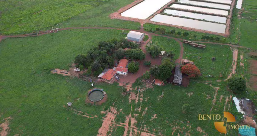 Fazenda com 8 dormitórios à venda, 1000000 m² por r$ 7.000.000 - zona rural - jaciara/mt