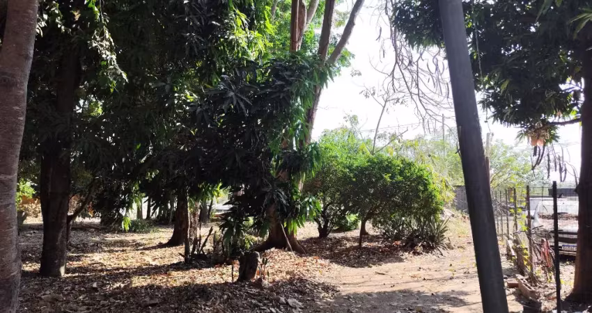 Vendo terreno comercial plano, limpo e murado, com 16,00 metros de frente para avenida das torres,