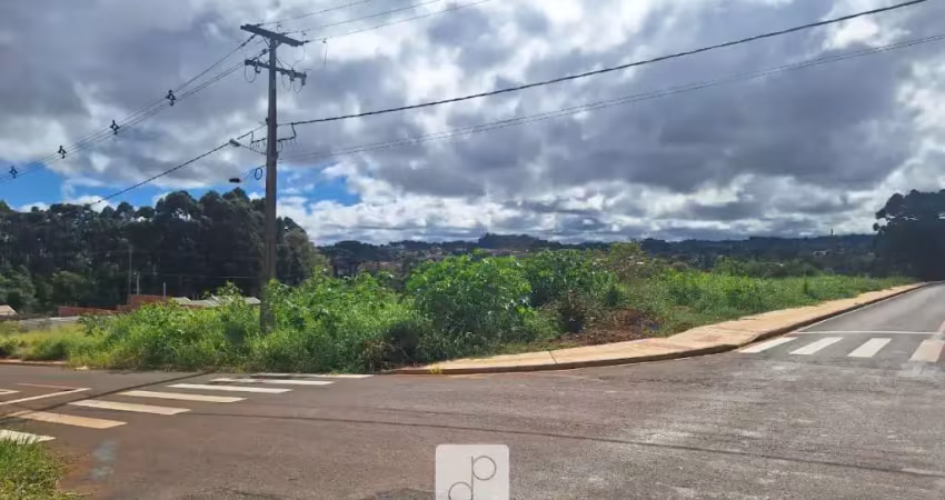 Terreno à venda no Cará-cará, Ponta Grossa 