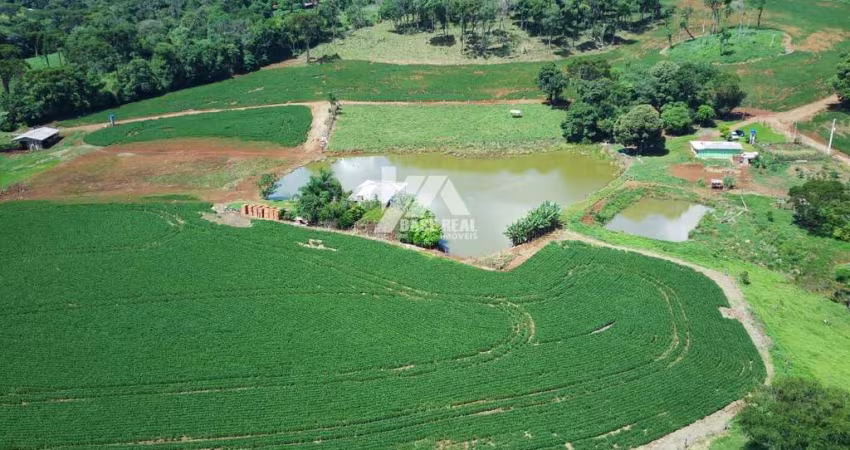 Chácara à venda, Rural, Palmital, PR