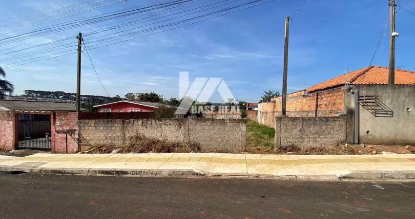 Terreno à venda, Cará-cará, Ponta Grossa, PR