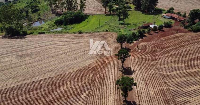 Fazenda à venda, Rural, Nova Fátima, PR