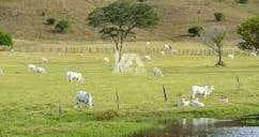 Fazenda à venda, Rural, Jacarezinho, PR