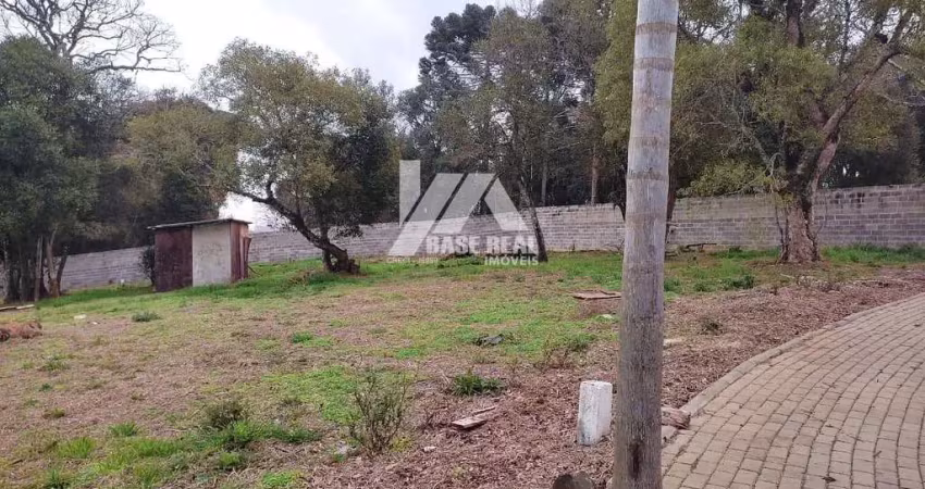 Terreno à venda na Av,  Rubens Siqueira Ribas, Trianon, Guarapuava
