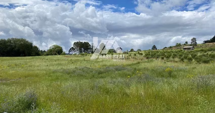 Terreno à venda na Jordão, Vila Jordão, Guarapuava