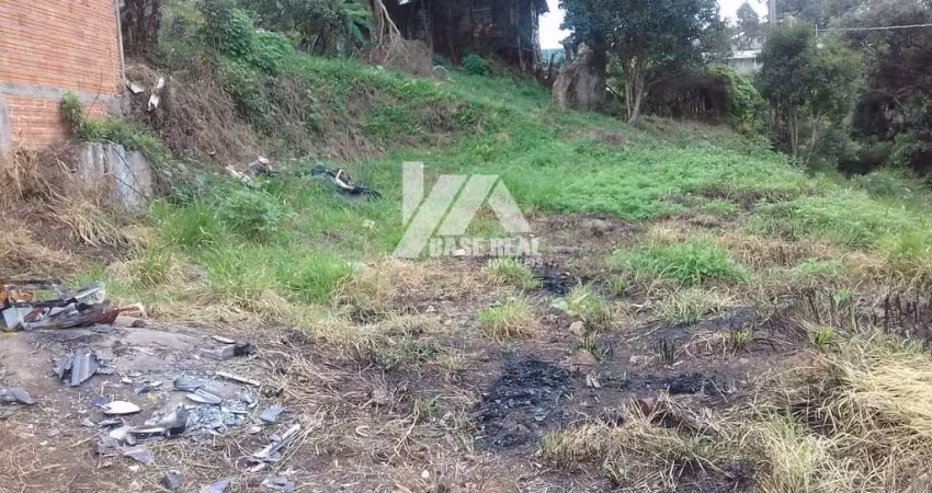 Terreno à venda na Rua das Pitangueiras, Morro Alto, Guarapuava