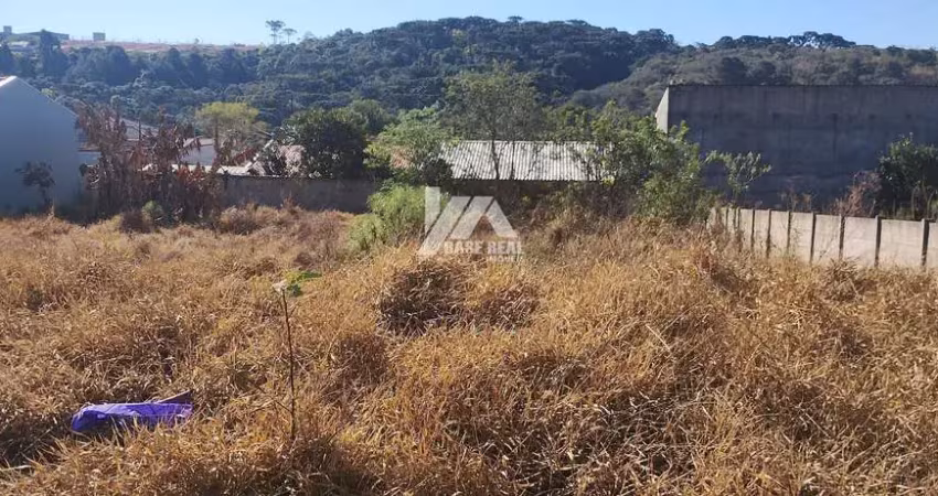 Terreno à venda na Rua Carlos Frederico Margraf, Jardim Carvalho, Ponta Grossa