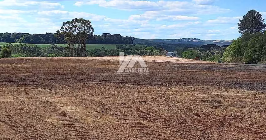 Terreno à venda na BR-376, Alto do Amparo, Tibagi