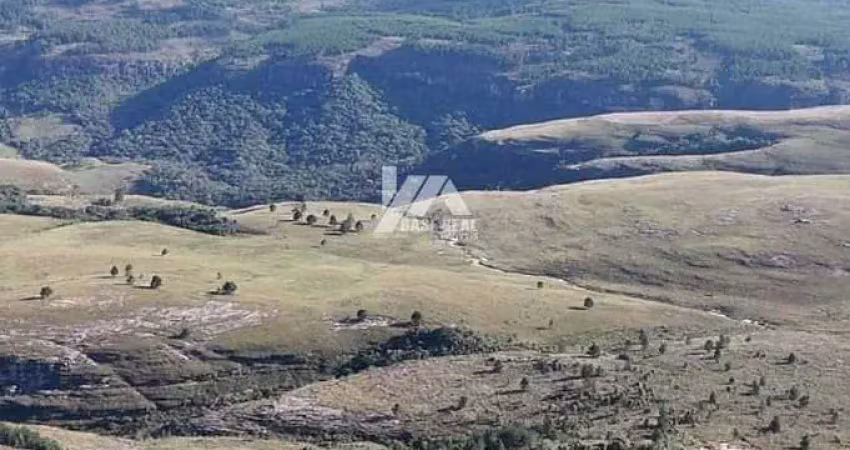 Chácara / sítio à venda na Rural, Zona Rural, Tibagi