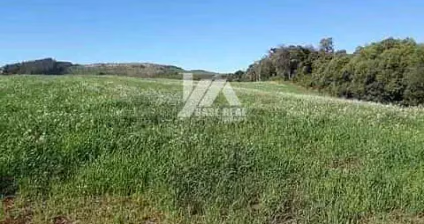 Chácara com 3 dormitórios à venda, 56000 m² - zona rural - campina do simão/pr