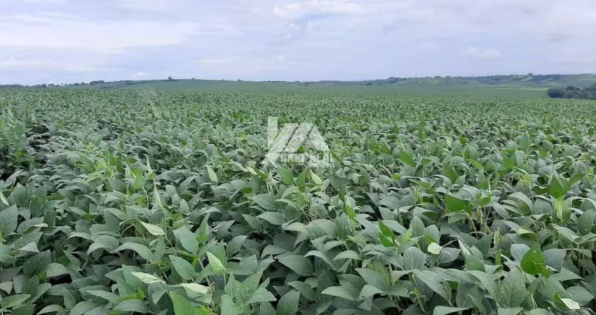 Chácara / sítio à venda na Rural, Zona Rural, Tamarana