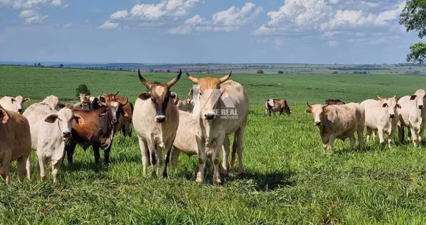Chácara / sítio à venda na Rural, Zona Rural, Rosário do Ivaí
