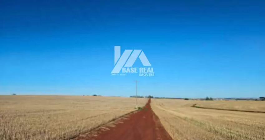 Chácara / sítio à venda na Centenário do Sul, Zona Rural, Centenário do Sul