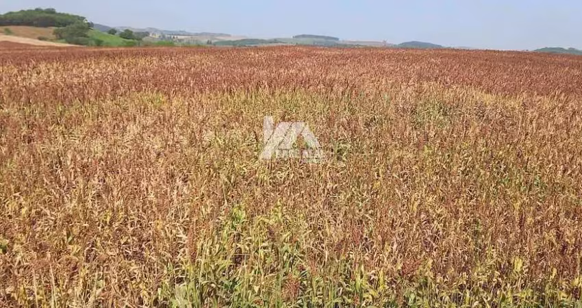 Chácara / sítio à venda na Rural, Zona Rural, Marumbi