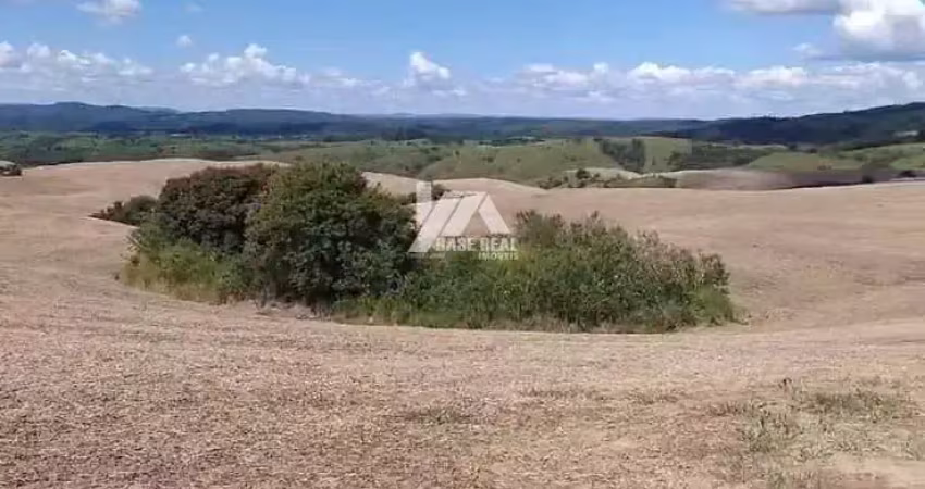 Chácara / sítio com 2 quartos à venda na Rural, Zona Rural, Rosário do Ivaí