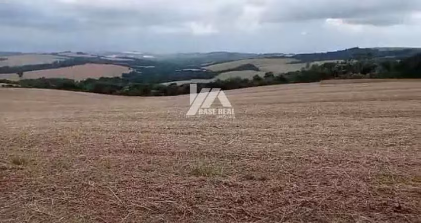 Chácara / sítio com 3 quartos à venda na Rural, Zona Rural, Tibagi