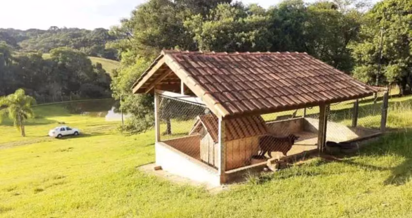 Chácara para venda em campo largo, sitio santa ana, 2 dormitórios, 1 banheiro, 10 vagas