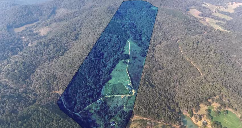 Chácara para Venda em Campo Largo, Retiro Grande, 4 dormitórios, 1 banheiro