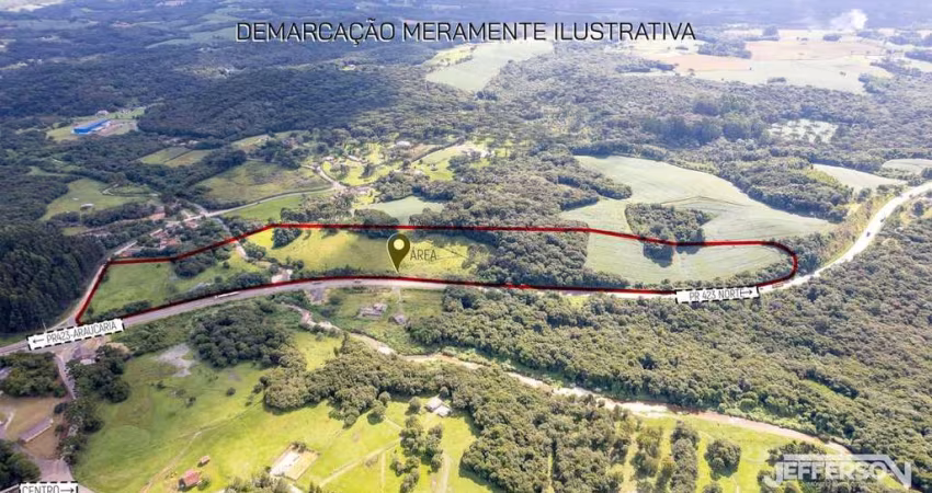 Terreno Industrial para Venda em Campo Largo, Jardim das Acácias