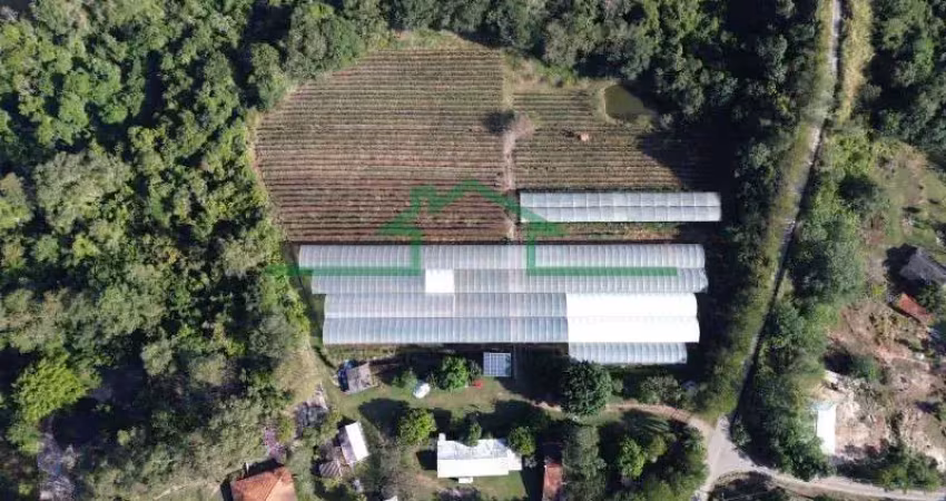 Chácara / sítio à venda na Estrada 13 B, Tupi, Piracicaba
