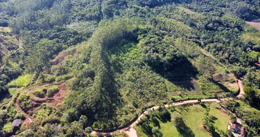 Terreno de sítio com 10 hectares em canelinha-sc com ótima localização