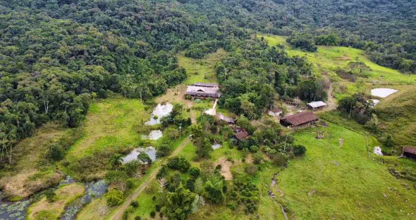 Fazenda à 16km da br-101 em tijucas-sc com grande potencial de pousada/retiros 84 hectares