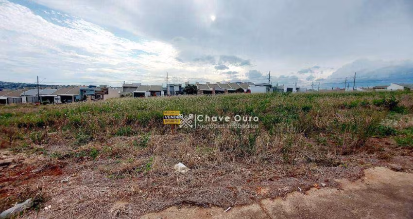 Terreno à venda, 300 m² por R$ 270.000,00 - Jardim Mantovani - Cascavel/PR