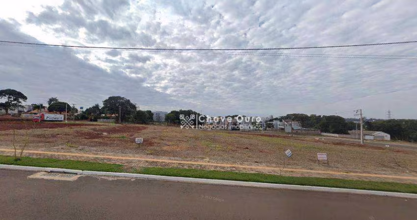 Terreno à venda, 402 m² por R$ 420.000,00 - Jardim Pancera - Toledo/PR