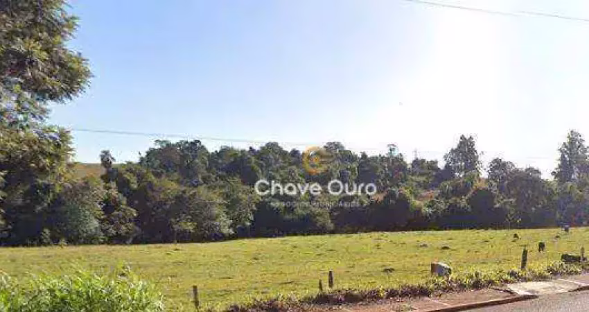 Terreno à venda, 5245 m² por r$ 1.678.000,00 - jardim coopagro - toledo/pr