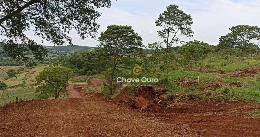 Chácara com 1 dormitório à venda, 20122 m² por R$ 350.000,00 - Dez de Maio - Toledo/PR