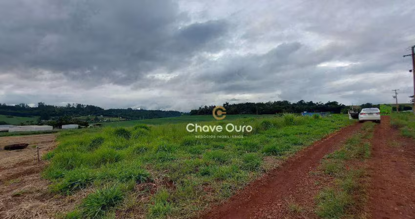 Chácara com 1 dormitório à venda, 1500 m² por r$ 400.000,00 - são salvador - cascavel/pr