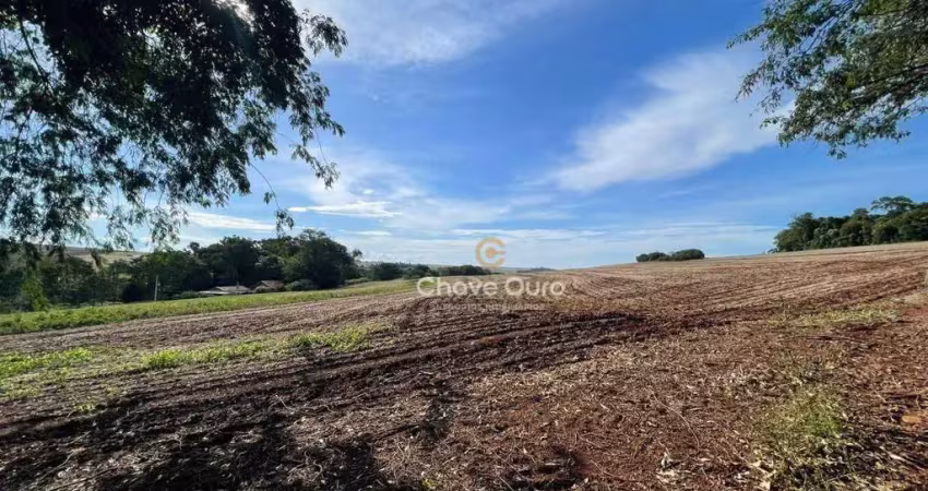 Chácara / sítio com 1 quarto à venda na Área Rural de Toledo, Toledo 