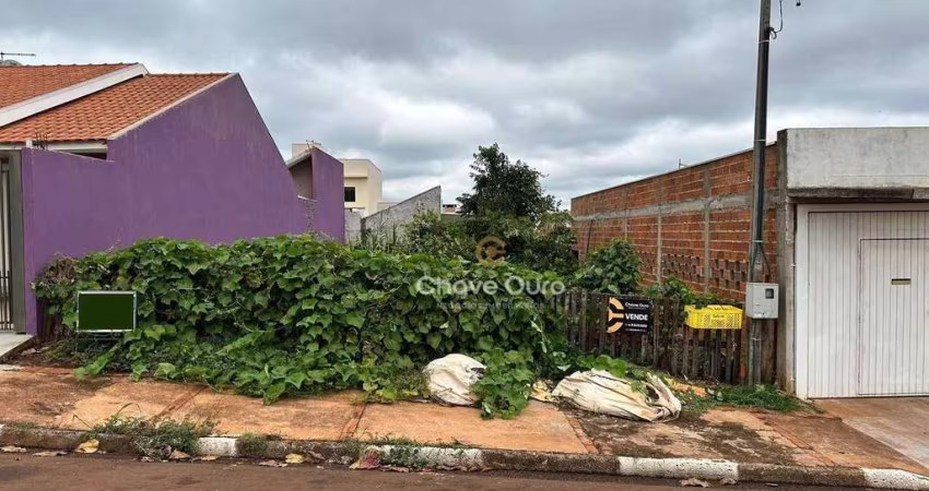Terreno à venda, 250 m² por R$ 125.000,00 - Jardim América - Toledo/PR