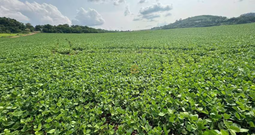 Terreno à venda na Zona Rural, São Pedro do Iguaçu 