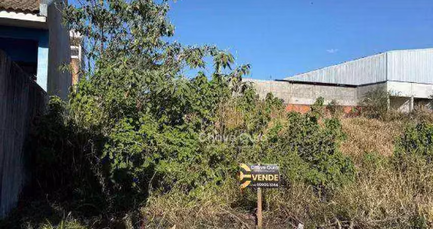 Terreno à venda no Centro, Cascavel 