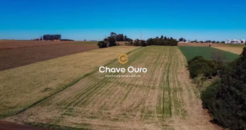 Chácara / sítio à venda em Sede Alvorada, Cascavel 