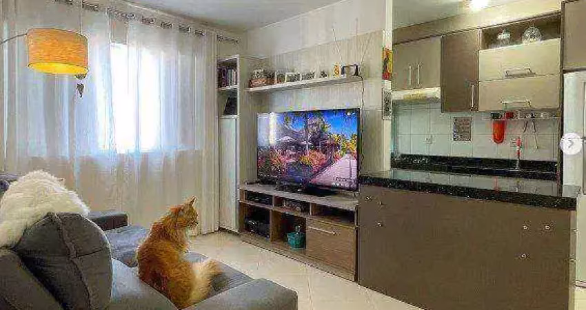 Apartamento com 2 dormitórios à venda, 60 m² por r$ 570.000,00 - centro - itajaí/sc