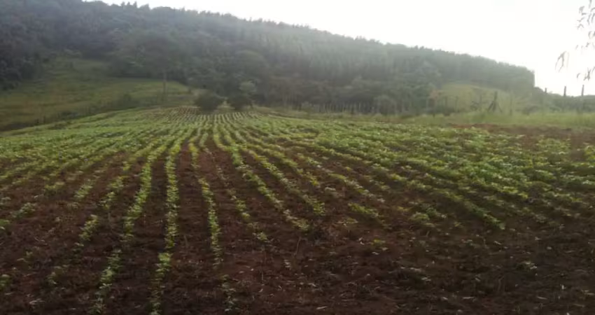Chácara / sítio à venda na Estrada da Fazenda Dois Irmãos, Cantagalo, Rio das Ostras