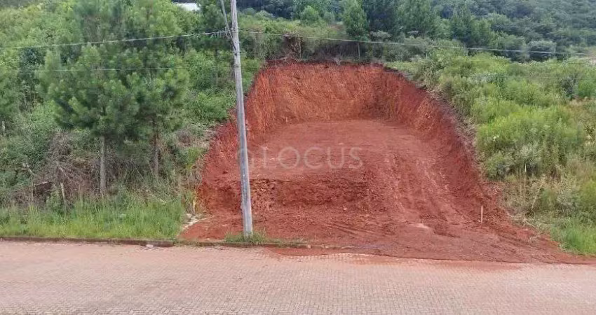 Terreno à venda na Estrada Municipal Avelina Tomazzoni Piccoli, Monte Bérico, Caxias do Sul