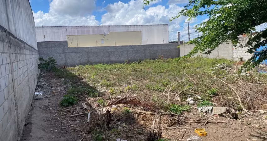 Terreno comercial à venda no Muchila, Feira de Santana 